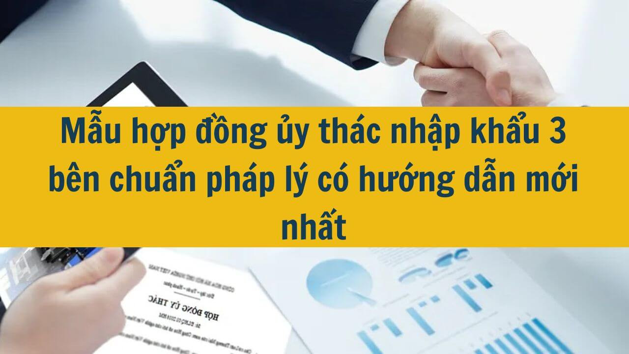 Mẫu hợp đồng ủy thác nhập khẩu 3 bên chuẩn pháp lý có hướng dẫn mới nhất 2025