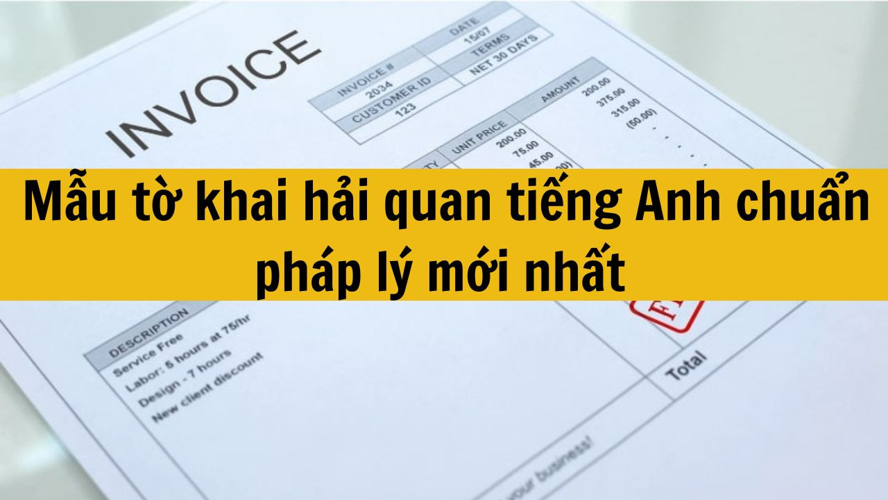 Mẫu tờ khai hải quan tiếng Anh chuẩn pháp lý mới nhất 2025