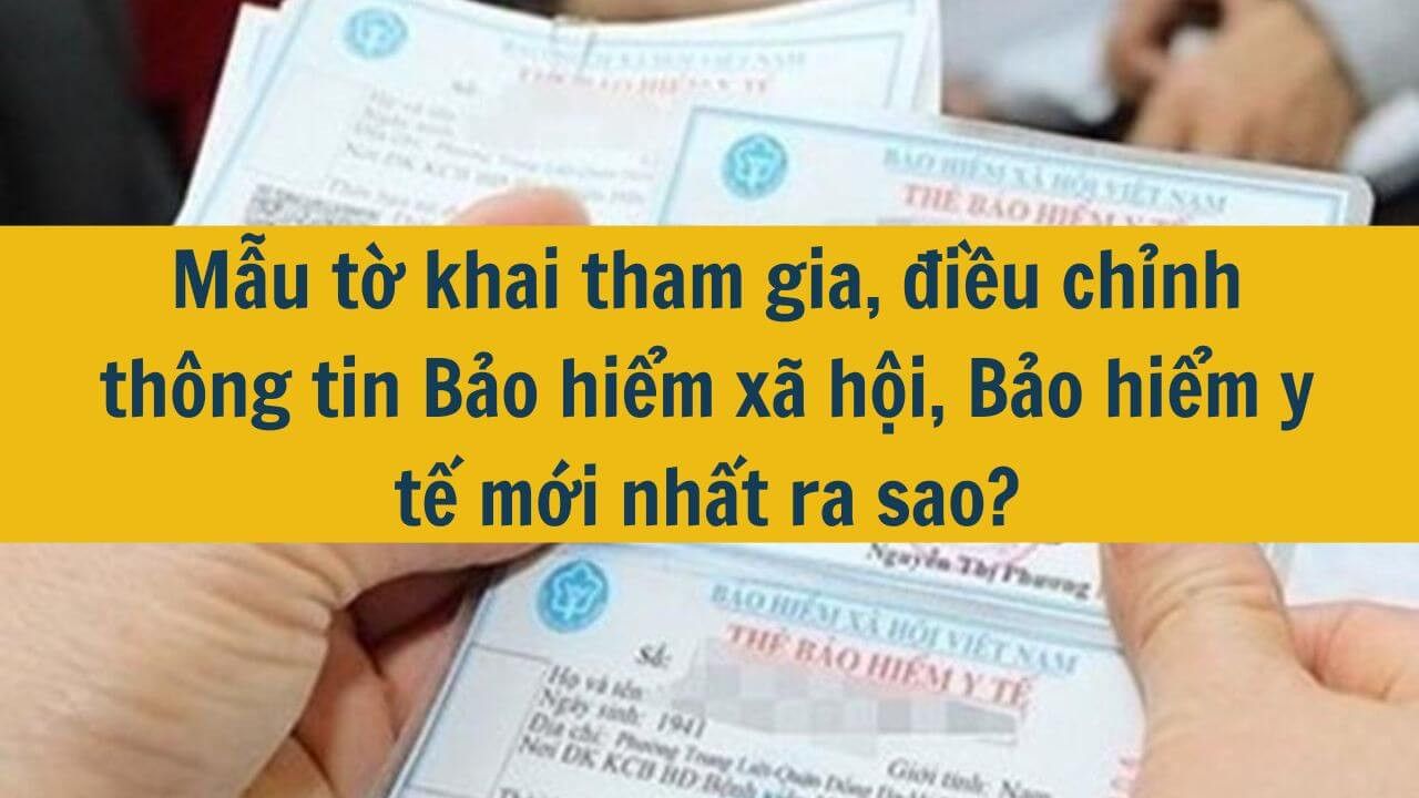 Mẫu tờ khai tham gia, điều chỉnh thông tin Bảo hiểm xã hội, Bảo hiểm y tế mới nhất năm 2025 ra sao?