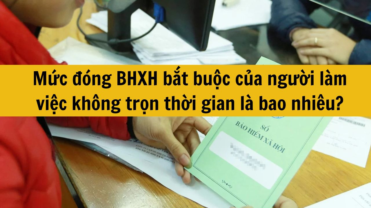 Mức đóng bảo hiểm xã hội bắt buộc của người làm việc không trọn thời gian là bao nhiêu?