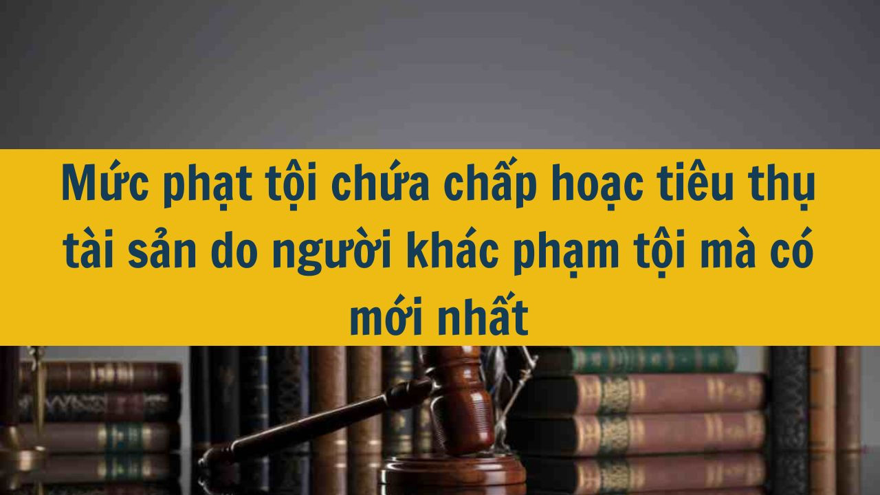 Mức phạt tội chứa chấp hoặc tiêu thụ tài sản do người khác phạm tội mà có mới nhất 2025