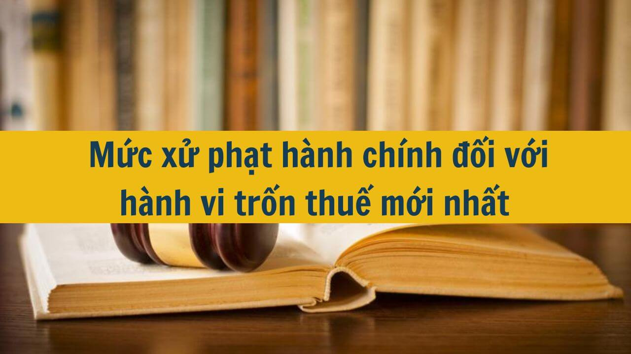 Mức xử phạt hành chính đối với hành vi trốn thuế mới nhất 2025