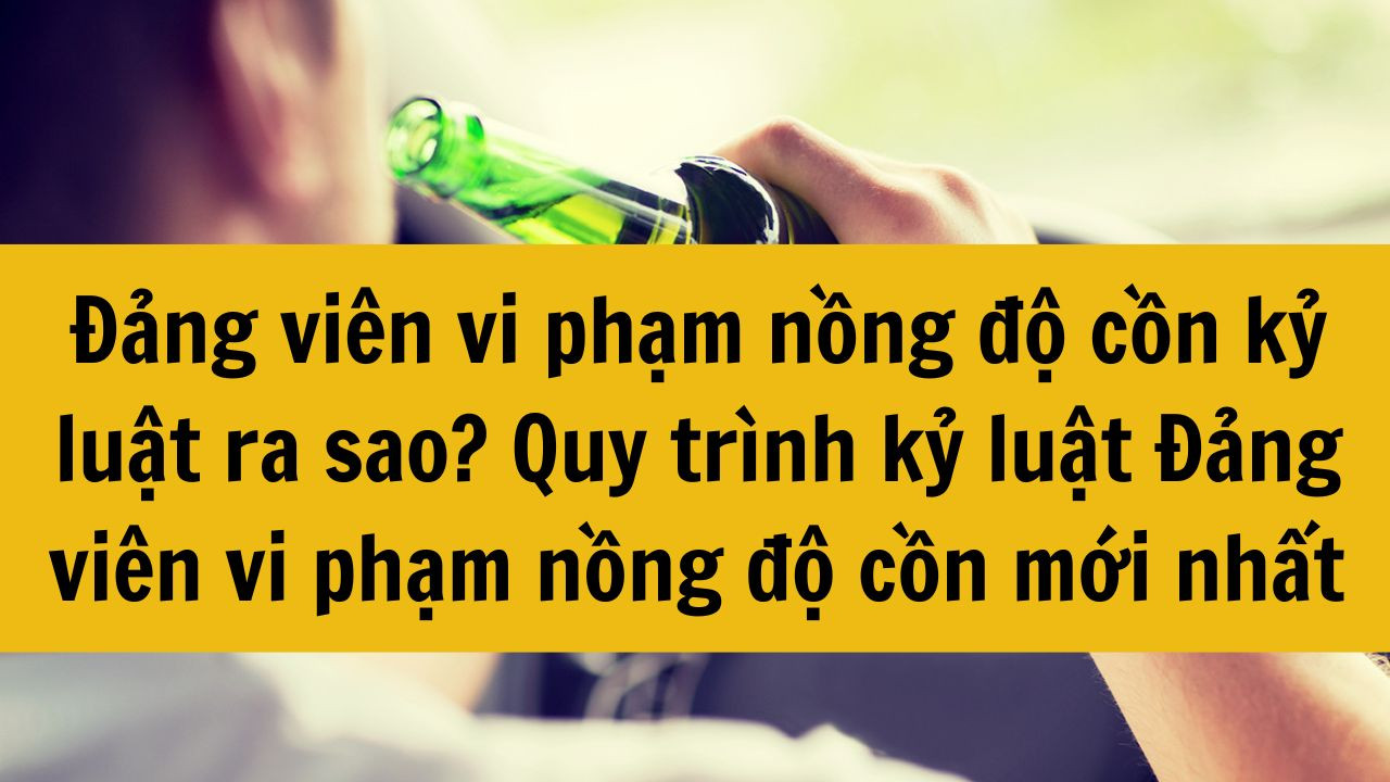 Đảng viên vi phạm nồng độ cồn kỷ luật ra sao? Quy trình kỷ luật Đảng viên vi phạm nồng độ cồn mới nhất 2025