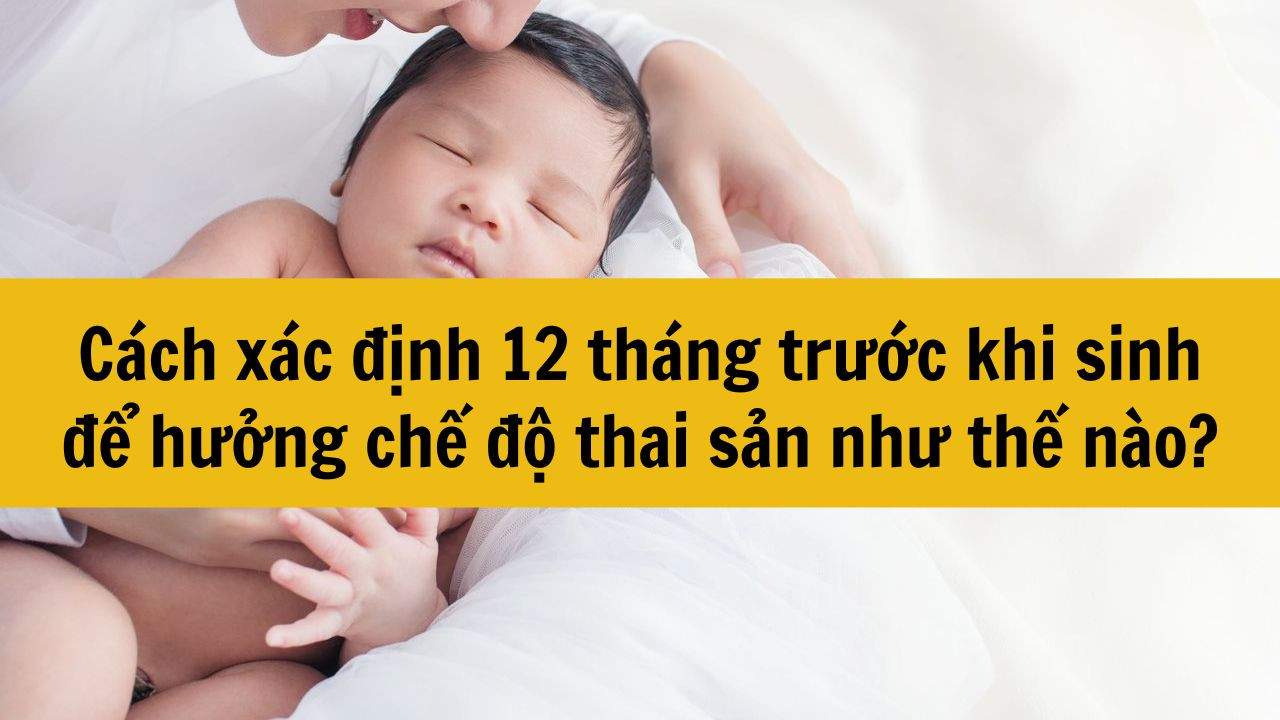 Cách xác định 12 tháng trước khi sinh để hưởng chế độ thai sản như thế nào?