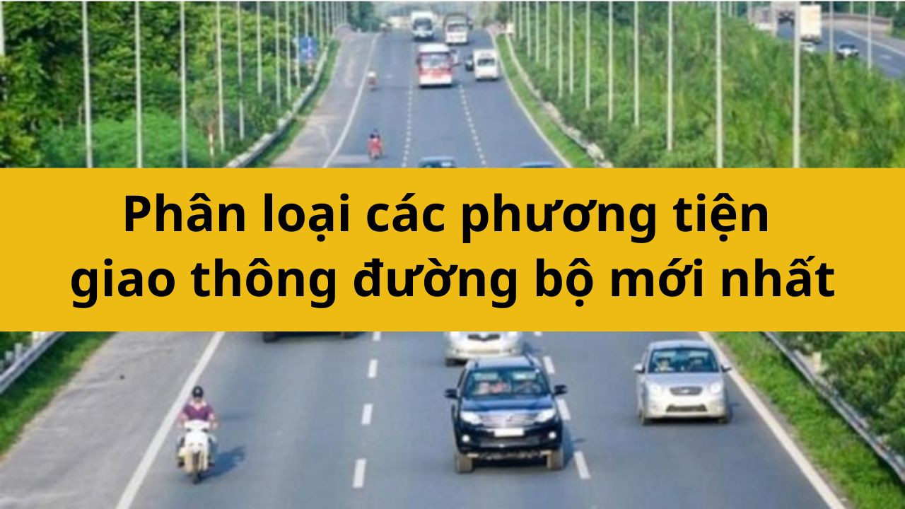 Phân loại các phương tiện giao thông đường bộ mới nhất 2025