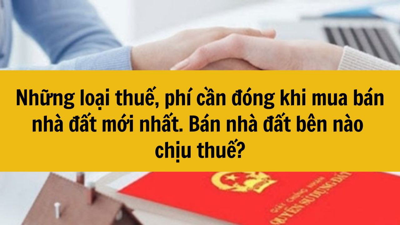 Những loại thuế, phí cần đóng khi mua bán nhà đất mới nhất 2025. Bán nhà đất bên nào chịu thuế?