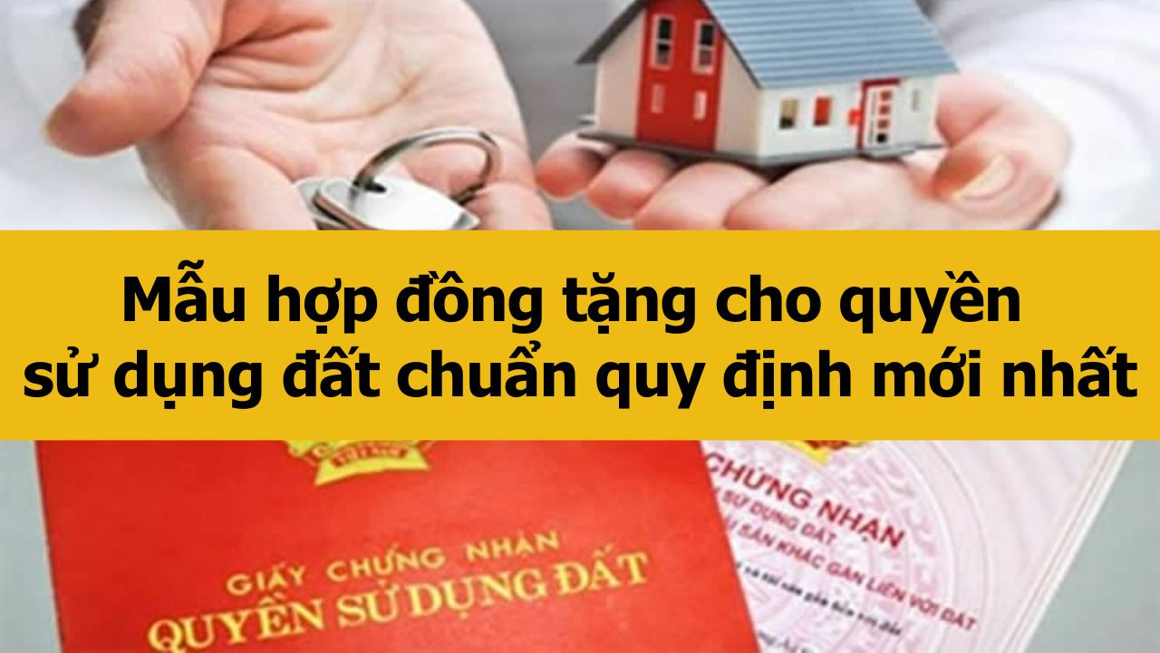 Mẫu hợp đồng tặng cho quyền sử dụng đất chuẩn quy định mới nhất 2025