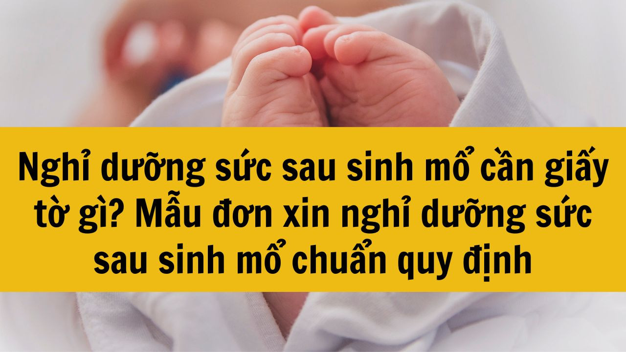 Nghỉ dưỡng sức sau sinh mổ cần giấy tờ gì? Mẫu đơn xin nghỉ dưỡng sức sau sinh mổ 2025 chuẩn quy định