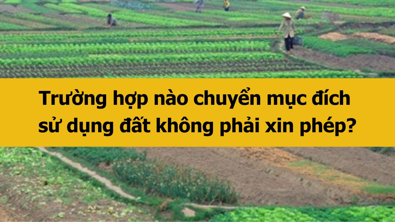 Năm 2025 trường hợp nào chuyển mục đích sử dụng đất không phải xin phép?