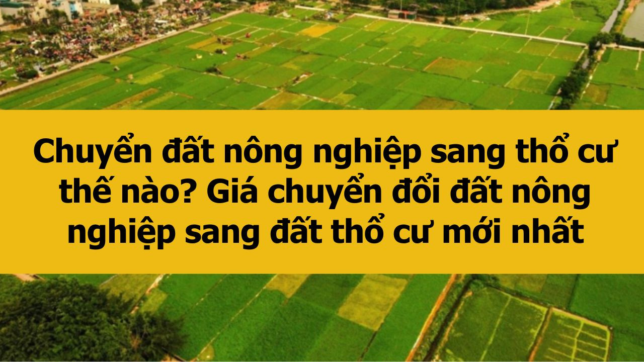 Chuyển đất nông nghiệp sang thổ cư thế nào? Giá chuyển đổi đất nông nghiệp sang đất thổ cư mới nhất 2025