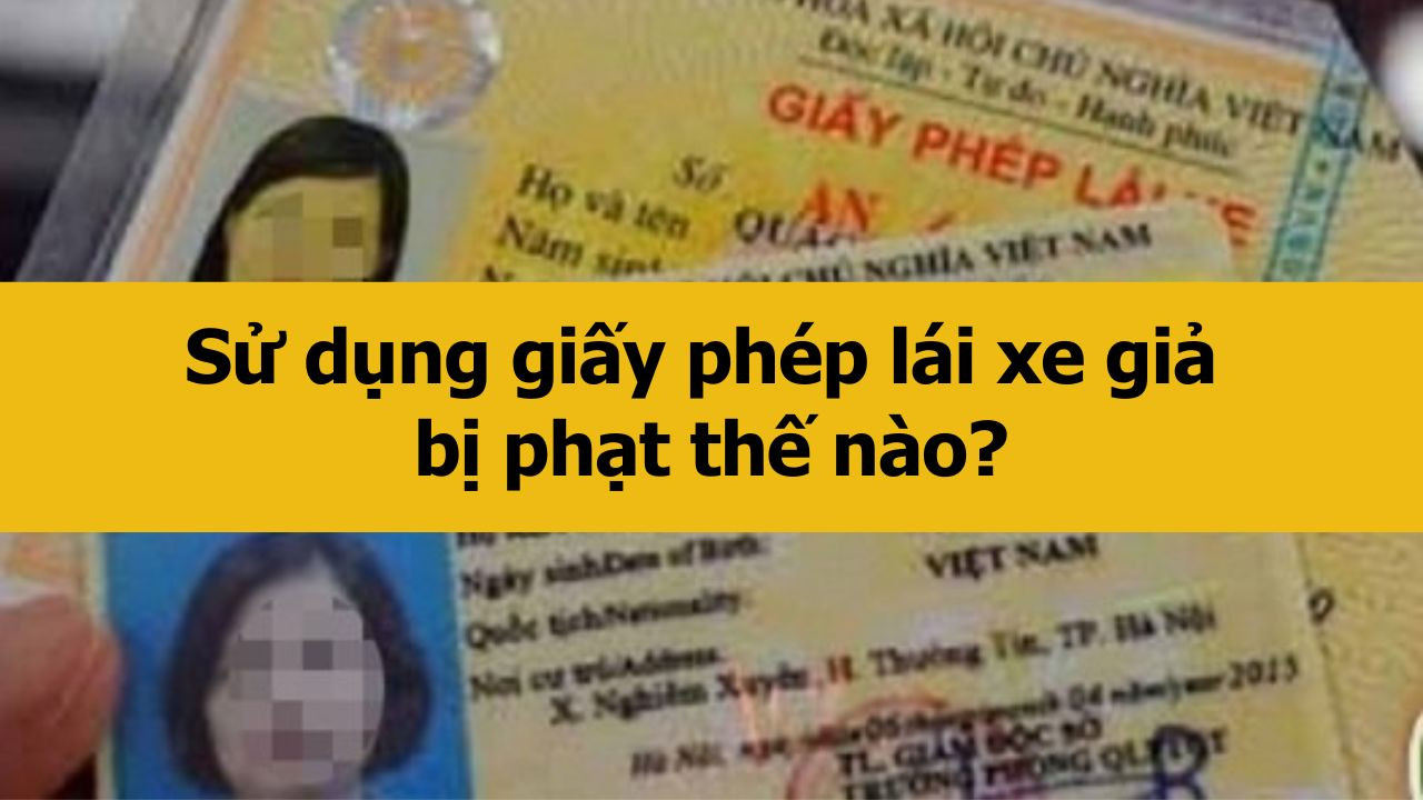 Sử dụng giấy phép lái xe giả bị phạt thế nào?