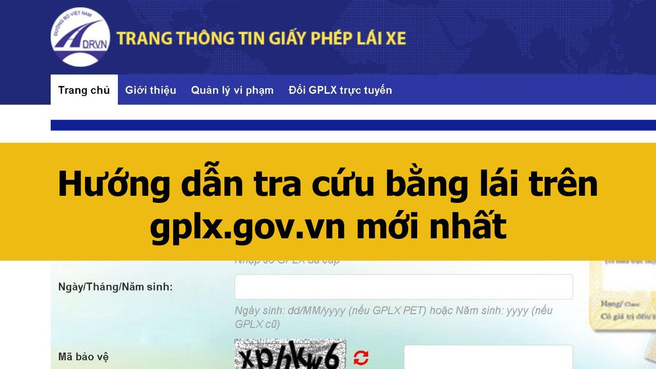 Hướng dẫn tra cứu bằng lái trên gplx.gov.vn mới nhất 2025