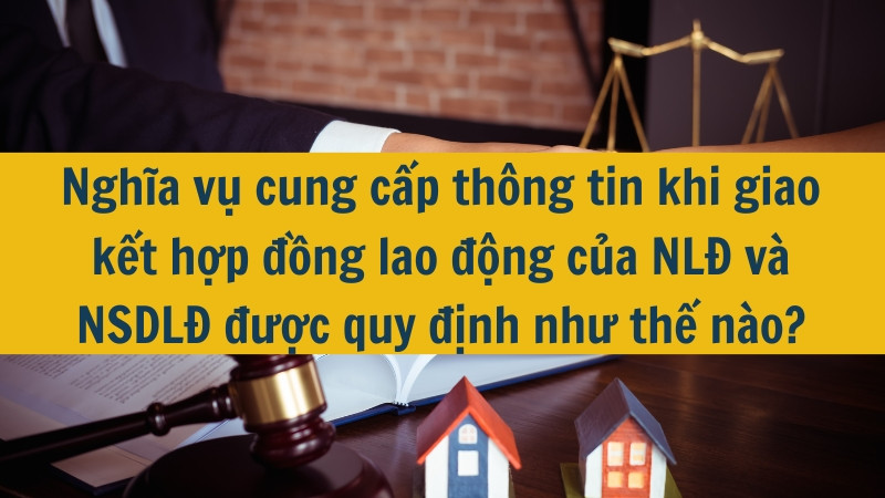 Nghĩa vụ cung cấp thông tin khi giao kết hợp đồng lao động của NLĐ và NSDLĐ được quy định như thế nào?