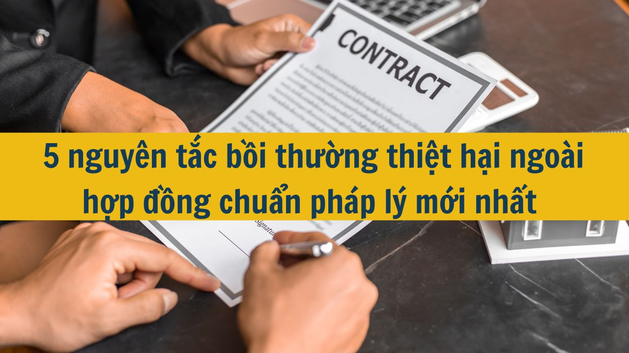 5 nguyên tắc bồi thường thiệt hại ngoài hợp đồng chuẩn pháp lý mới nhất 2025