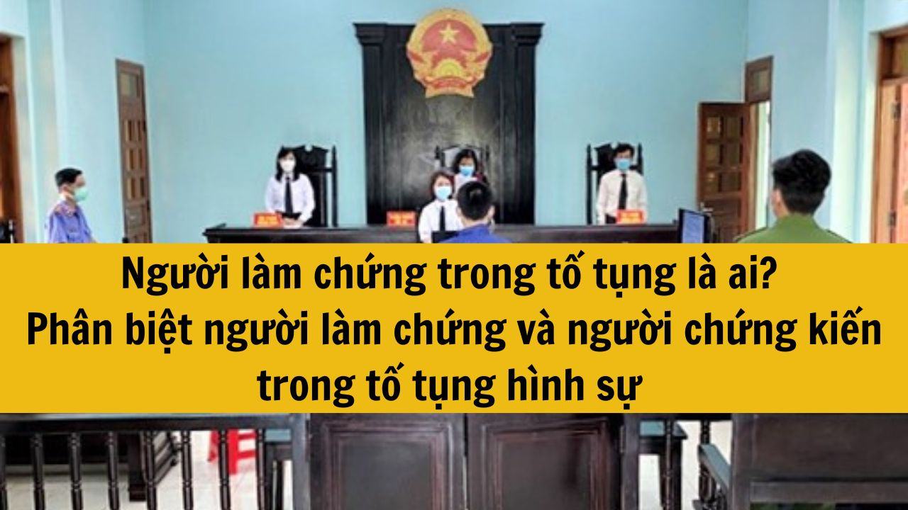 Người làm chứng trong tố tụng là ai? Phân biệt người làm chứng và người chứng kiến trong tố tụng hình sự mới nhất 2025