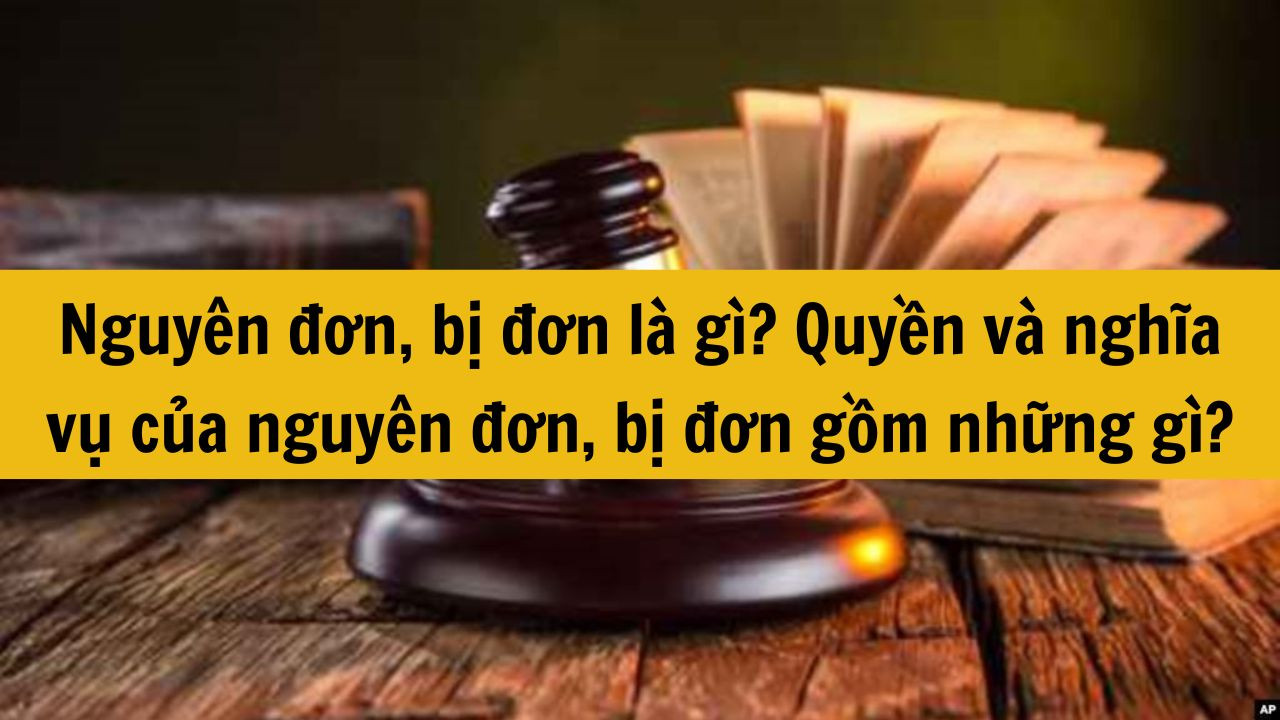 Nguyên đơn, bị đơn là gì? Quyền và nghĩa vụ của nguyên đơn, bị đơn gồm những gì?