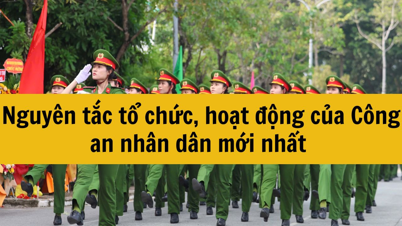 Nguyên tắc tổ chức, hoạt động của Công an nhân dân mới nhất 2025 gồm những gì?