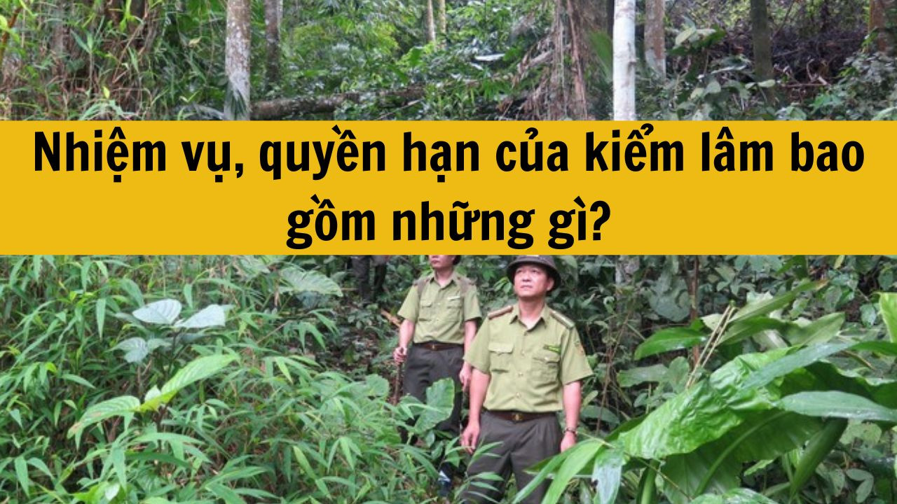 Nhiệm vụ, quyền hạn của kiểm lâm bao gồm những gì?
