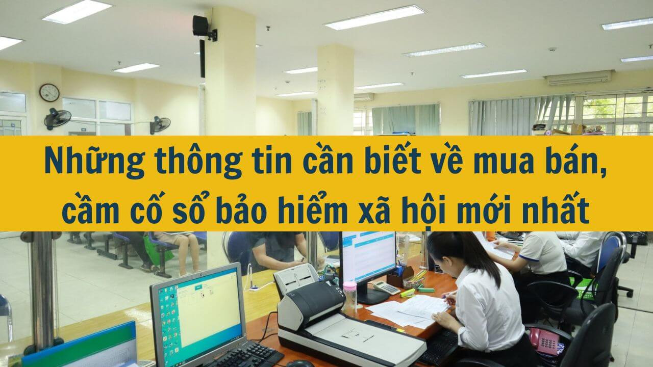 Những thông tin cần biết về mua bán, cầm cố sổ bảo hiểm xã hội mới nhất 2025