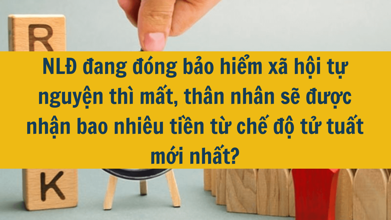 NLĐ đang đóng bảo hiểm xã hội tự nguyện thì mất, thân nhân sẽ được nhận bao nhiêu tiền từ chế độ tử tuất mới nhất 2025?