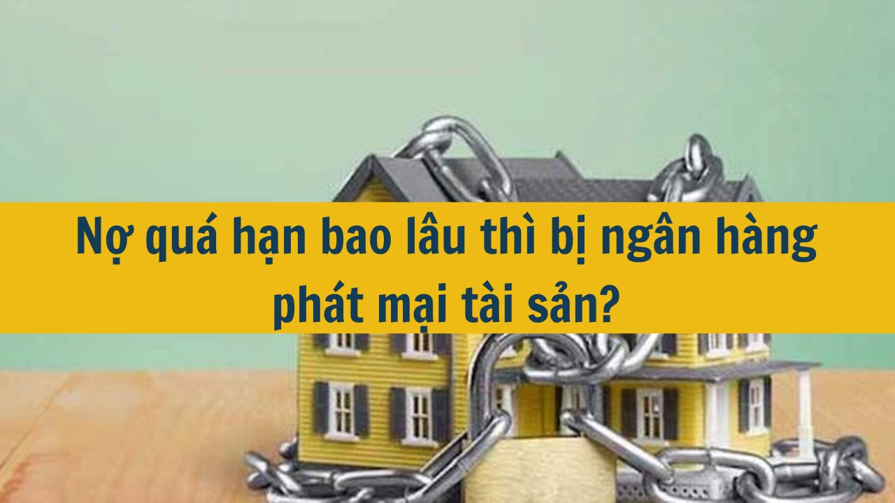 Nợ quá hạn bao lâu thì bị ngân hàng phát mại tài sản?