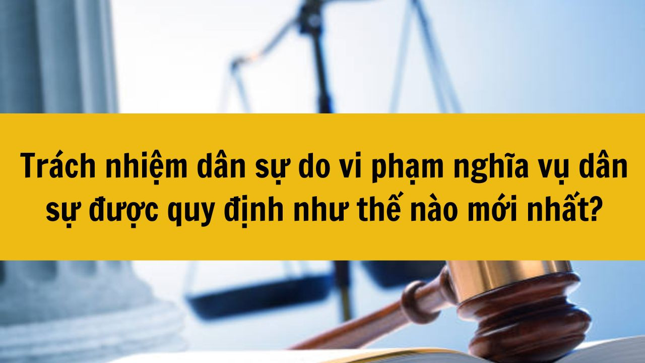 Trách nhiệm dân sự do vi phạm nghĩa vụ dân sự được quy định như thế nào mới nhất 2025?