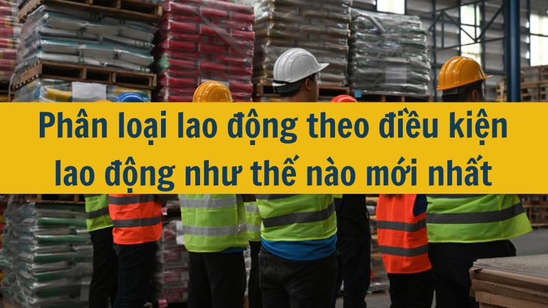 Phân loại lao động theo điều kiện lao động như thế nào mới nhất 2025?