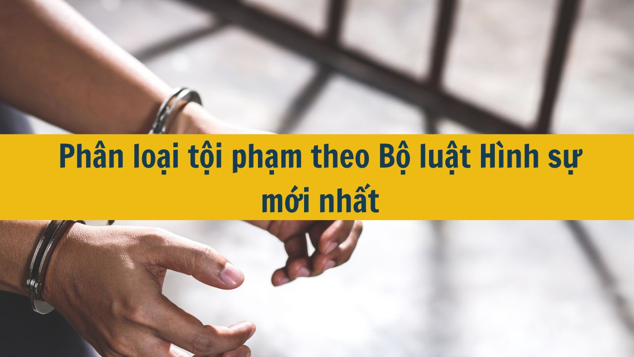 Phân loại tội phạm theo Bộ luật Hình sự mới nhất 2025