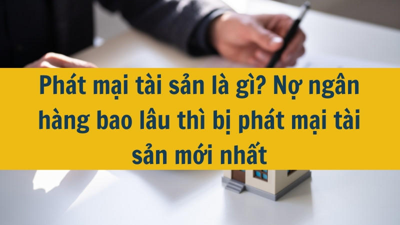 Phát mại tài sản là gì? Nợ ngân hàng bao lâu thì bị phát mại tài sản mới nhất 2025?