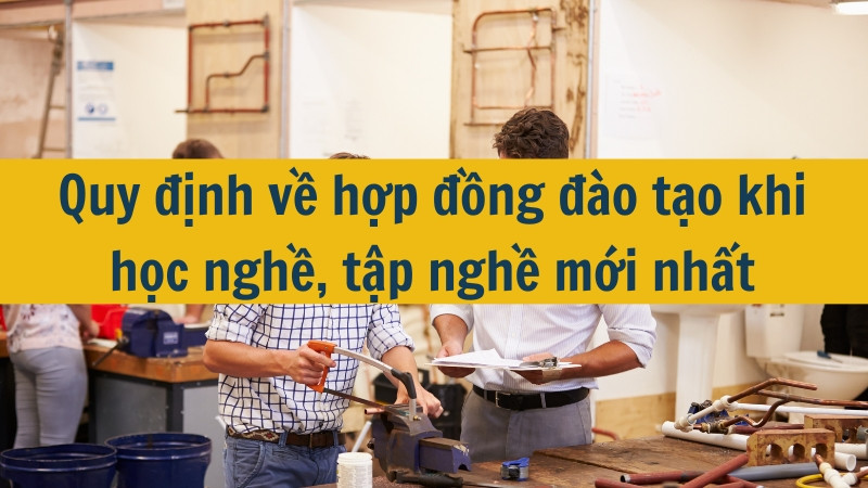 Quy định về hợp đồng đào tạo khi học nghề, tập nghề mới nhất 2025?