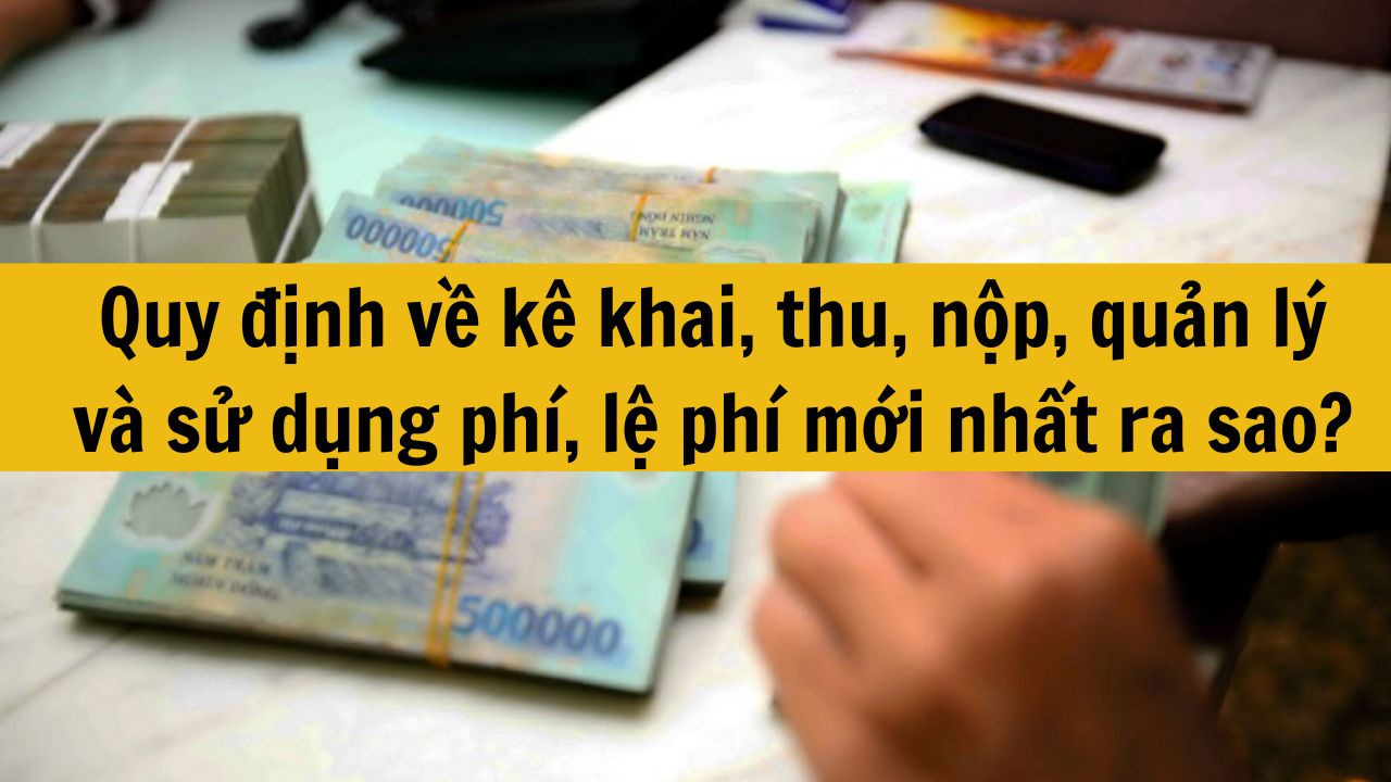 Quy định về kê khai, thu, nộp, quản lý và sử dụng phí, lệ phí mới nhất 2025 ra sao?