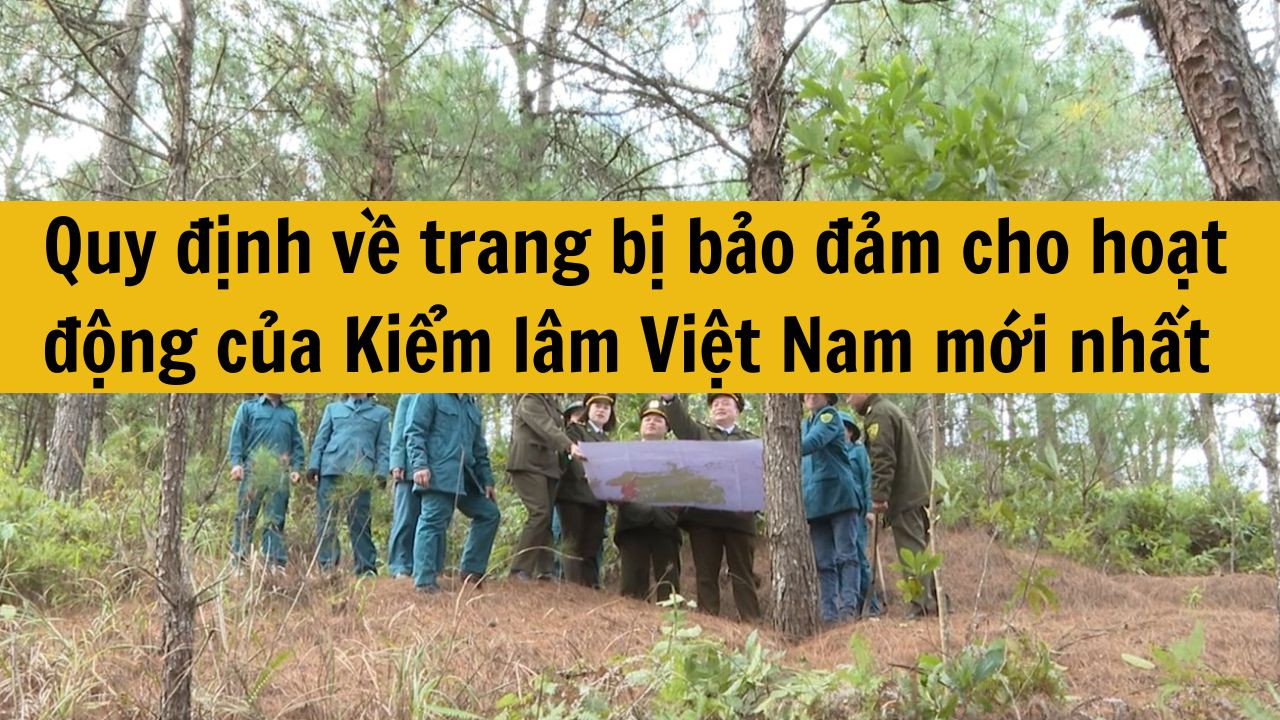 Quy định về trang bị bảo đảm cho hoạt động của Kiểm lâm Việt Nam mới nhất 2025?