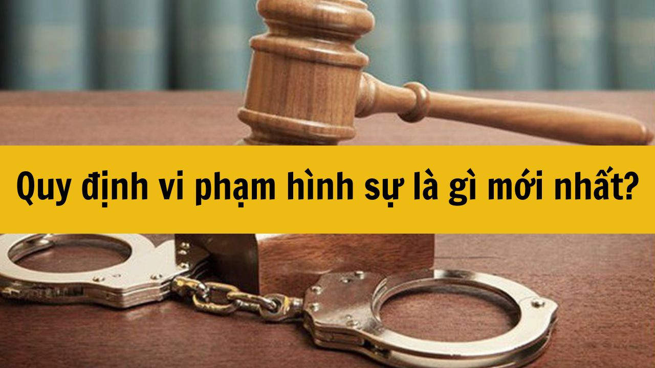 Quy định vi phạm hình sự là gì mới nhất 2025?