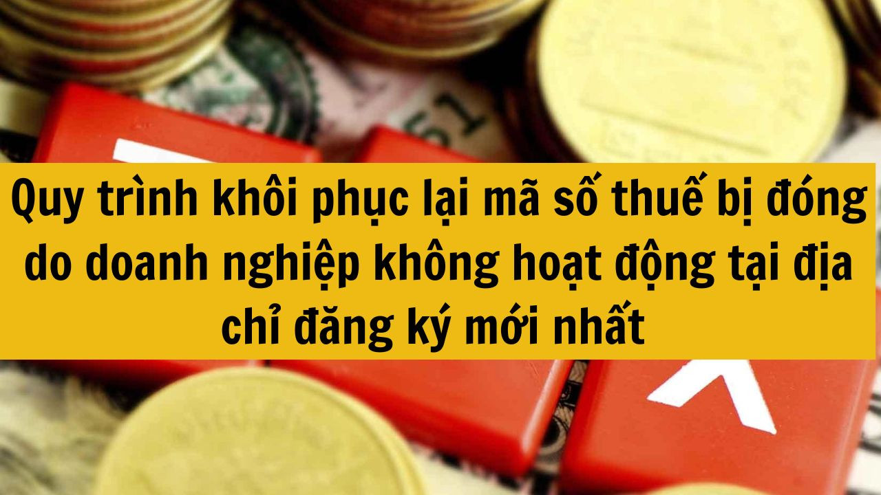 Quy trình khôi phục lại mã số thuế bị đóng do doanh nghiệp không hoạt động tại địa chỉ đăng ký mới nhất 2025