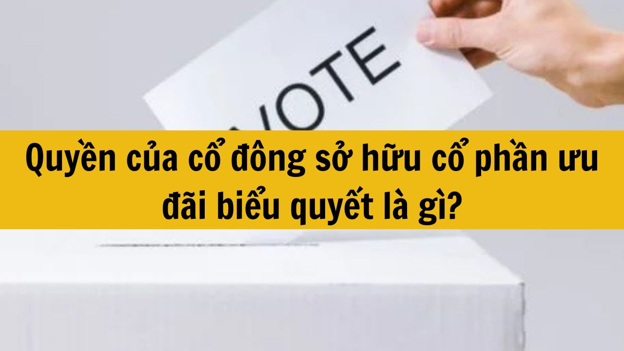 Quyền của cổ đông sở hữu cổ phần ưu đãi biểu quyết là gì?