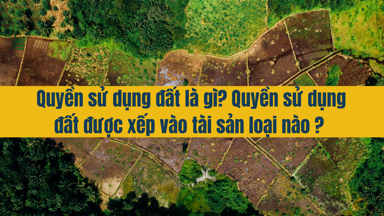 Quyền sử dụng đất là gì? Quyền sử dụng đất được xếp vào tài sản loại nào?