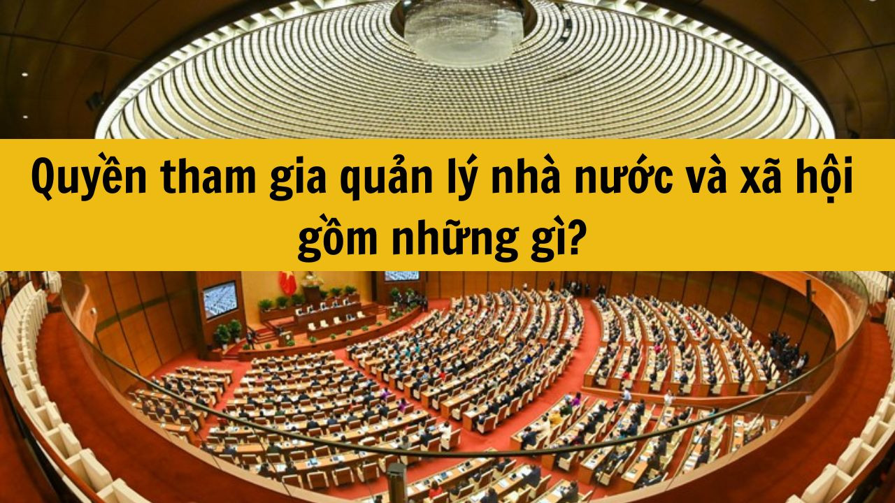 Quyền tham gia quản lý nhà nước và xã hội gồm những gì?