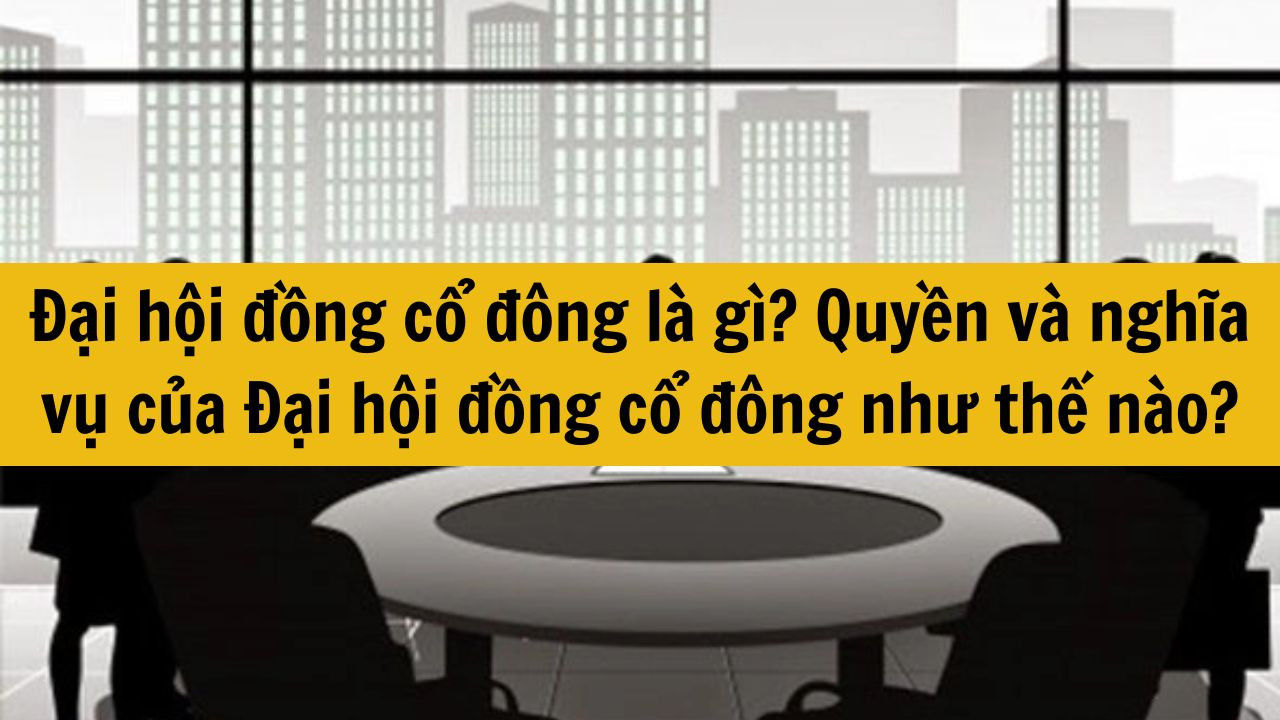 Đại hội đồng cổ đông là gì? Quyền và nghĩa vụ của Đại hội đồng cổ đông như thế nào?