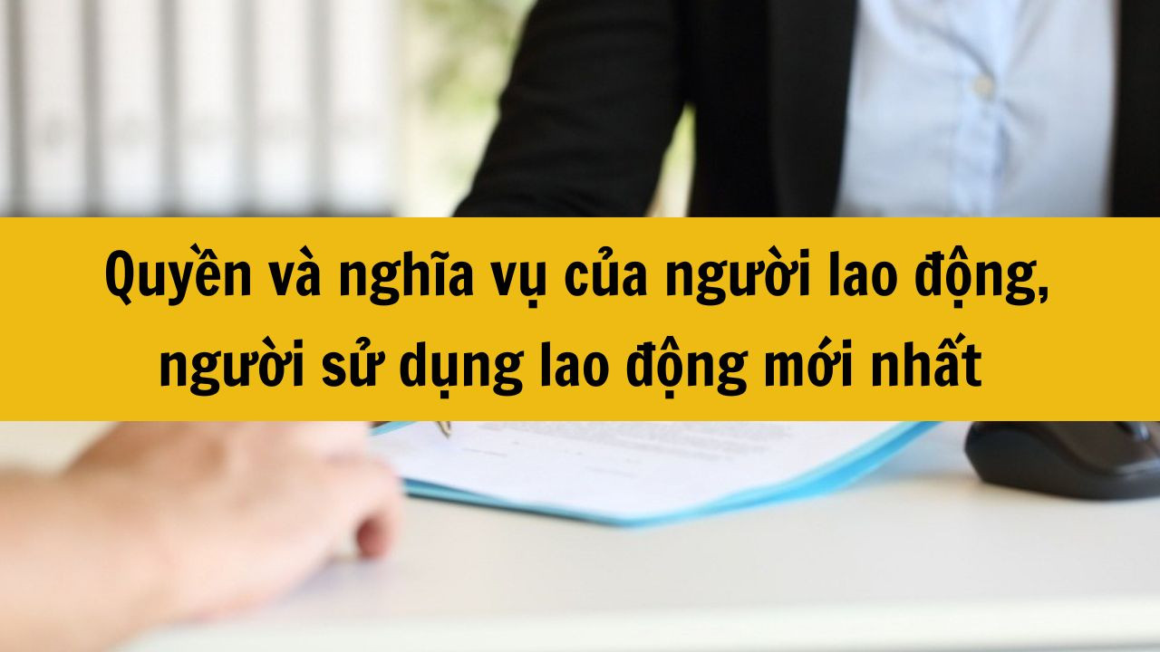 Quyền và nghĩa vụ của người lao động, người sử dụng lao động mới nhất 2025?