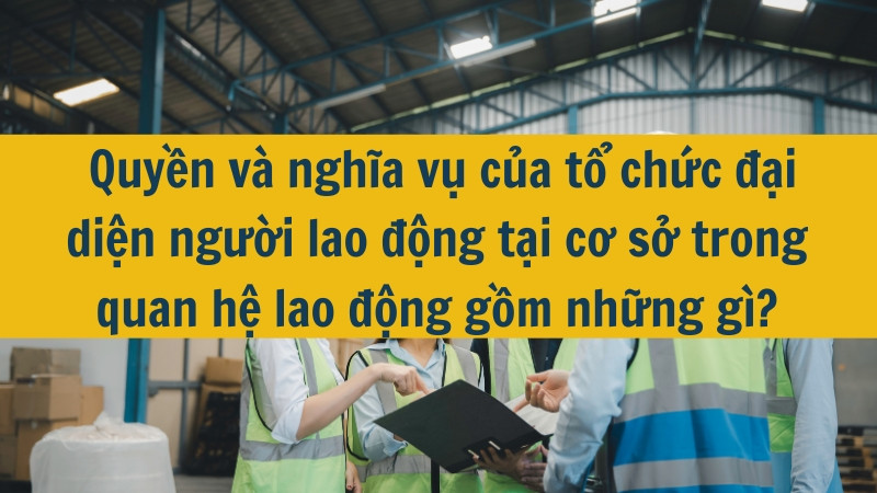 Quyền và nghĩa vụ của tổ chức đại diện người lao động tại cơ sở trong quan hệ lao động gồm những gì?