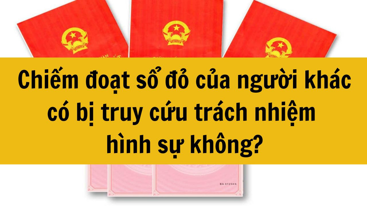 Chiếm đoạt sổ đỏ của người khác có bị truy cứu tội chiếm đoạt tài sản không?