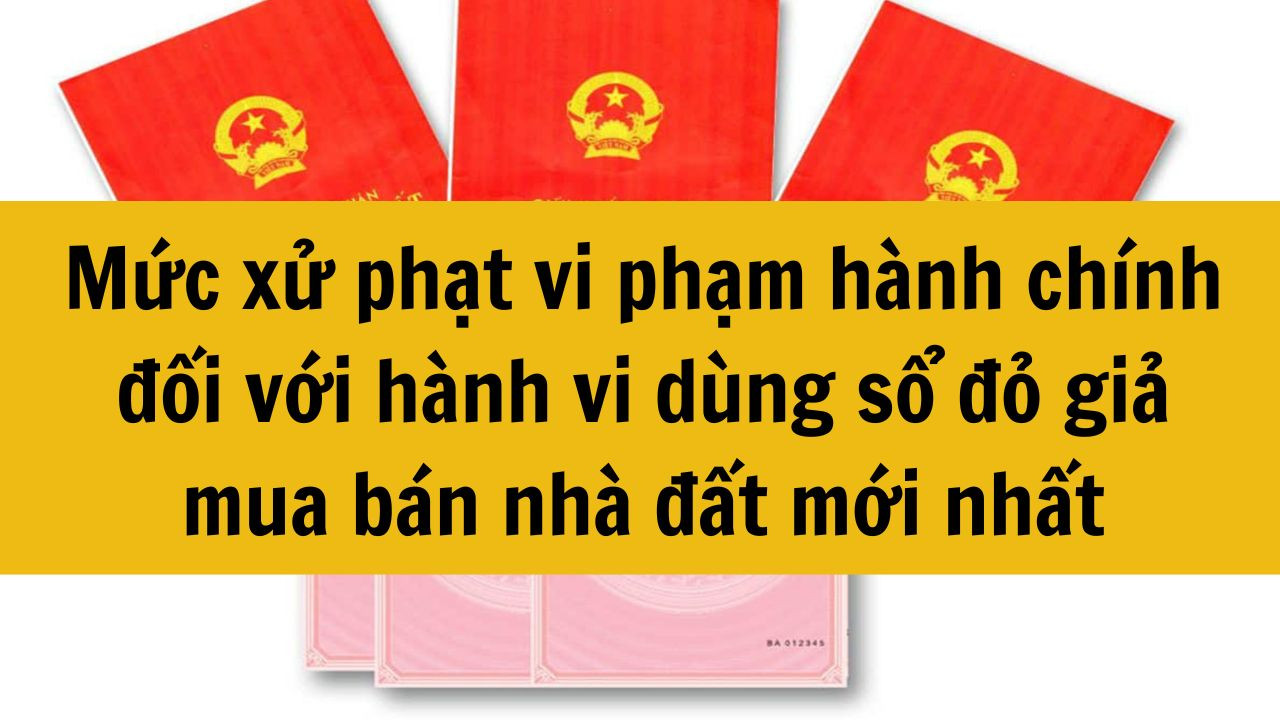 Mức xử phạt vi phạm hành chính đối với hành vi dùng sổ đỏ giả mua bán nhà đất mới nhất 2025