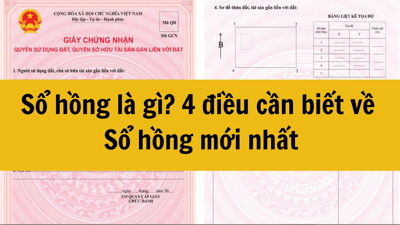 Sổ hồng là gì? 4 điều cần biết về Sổ hồng mới nhất 2025
