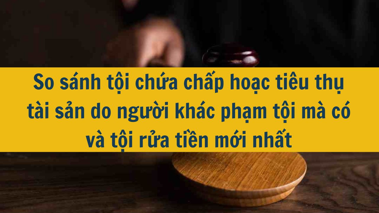 So sánh tội chứa chấp hoặc tiêu thụ tài sản do người khác phạm tội mà có và tội rửa tiền mới nhất 2025