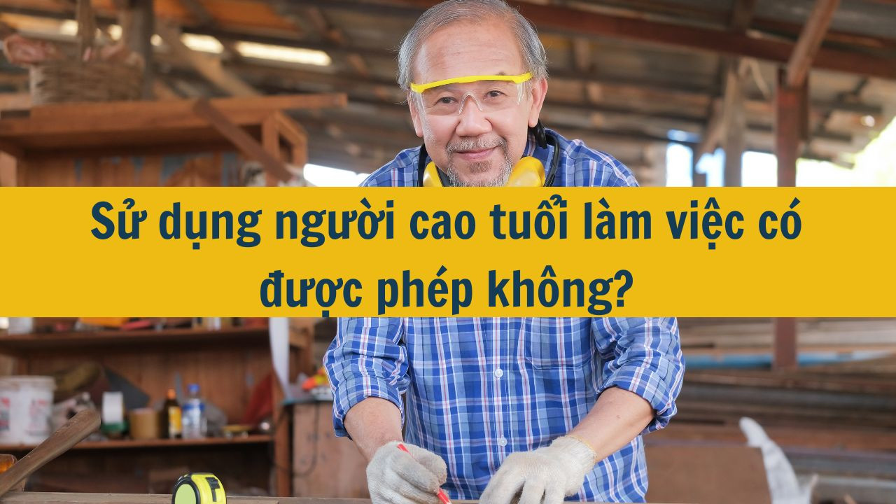 Sử dụng người cao  tuổi làm việc có được phép không?