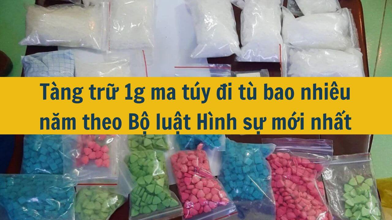 Tàng trữ 1g ma túy đi tù bao nhiêu năm theo Bộ luật Hình sự mới nhất 2025