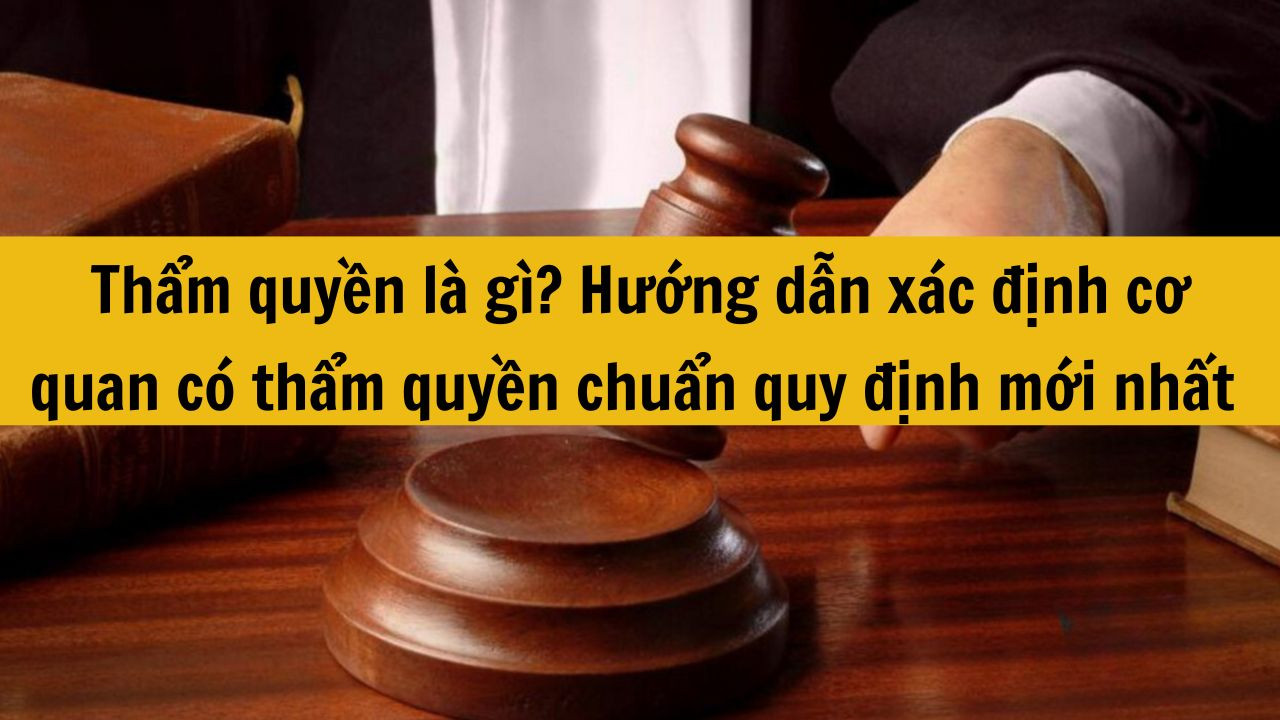 Thẩm quyền là gì? Hướng dẫn xác định cơ quan có thẩm quyền chuẩn quy định mới nhất 2025?