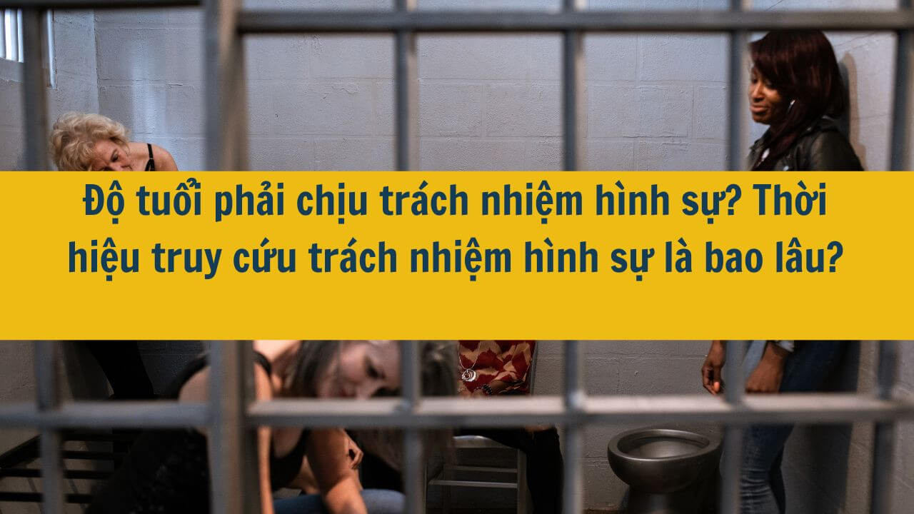 Độ tuổi phải chịu trách nhiệm hình sự? Thời hiệu truy cứu trách hình sự là bao lâu? Có phải mọi tội phạm được quy định trong Bộ luật Hình sự 2015, sửa đổi bổ sung 2017 đều áp dụng thời hiệu truy cứu trách nhiệm hình sự không?