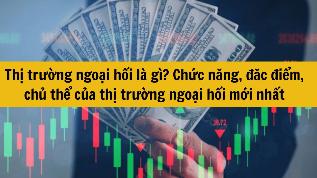 Thị trường ngoại hối là gì? Chức năng, đặc điểm, chủ thể của thị trường ngoại hối mới nhất 2025