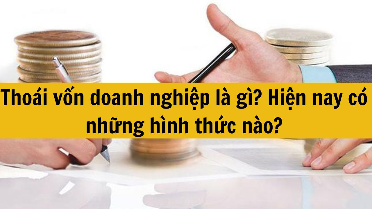 Thoái vốn doanh nghiệp là gì? Hiện nay có những hình thức nào?